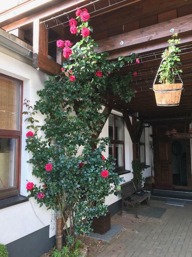Wieko Ferienwohnungen Plauen Exteriér fotografie