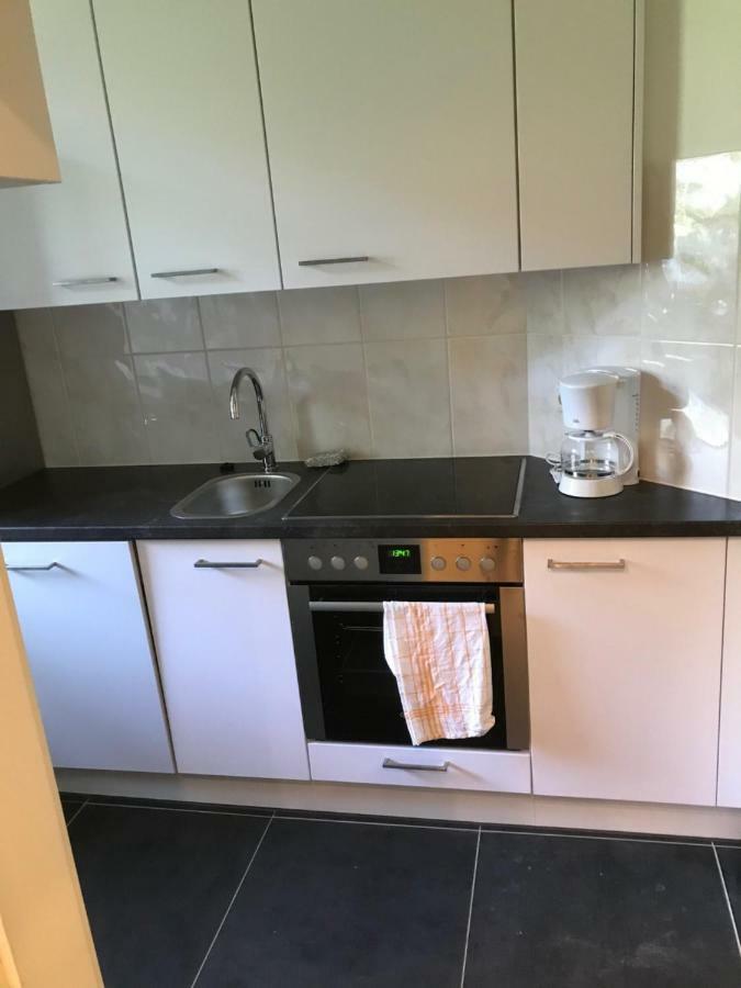 Wieko Ferienwohnungen Plauen Exteriér fotografie
